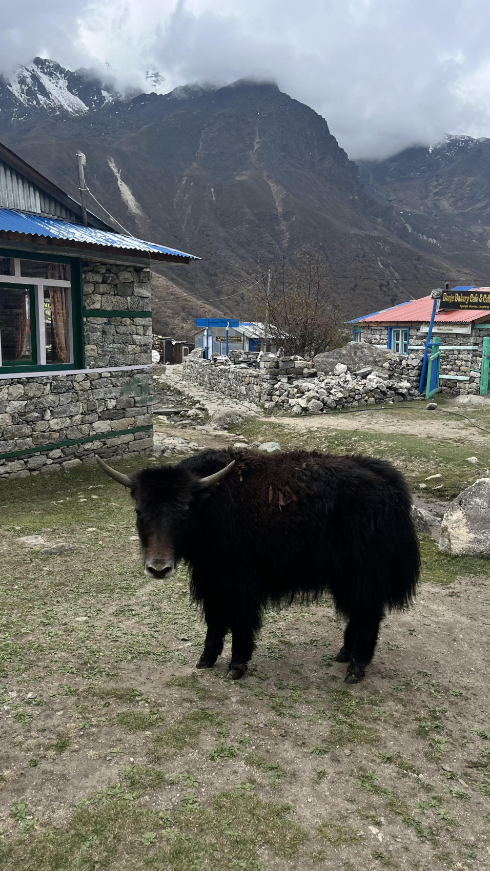Волшебное Кольцо Аннапурны + озеро Тиличо (2/11)
