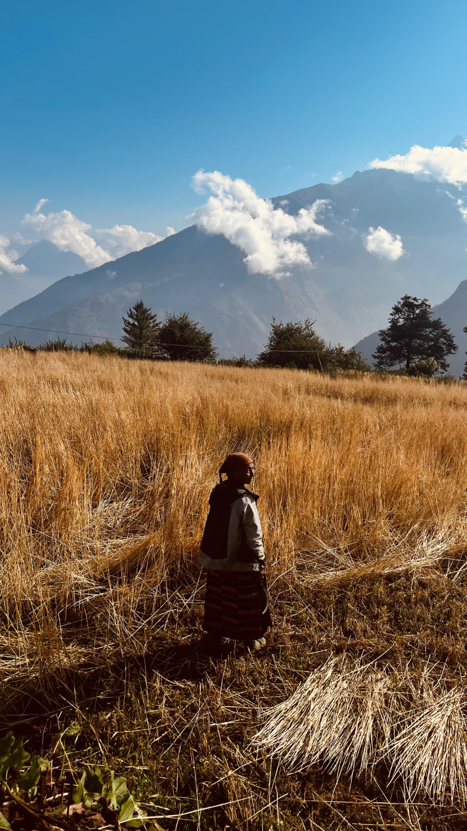 Волшебное Кольцо Аннапурны + озеро Тиличо (6/11)