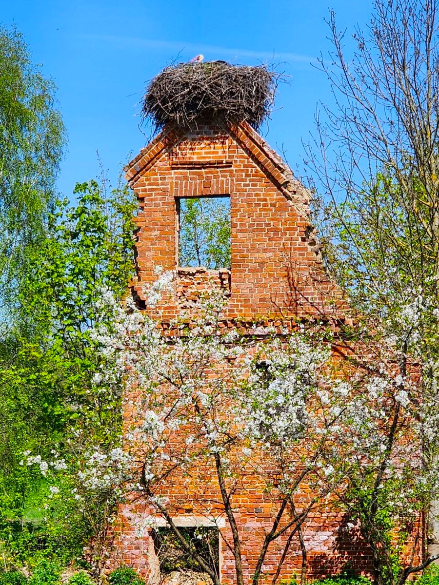 Велопокатушки по Беларуси с автоподдержкой (10/29)