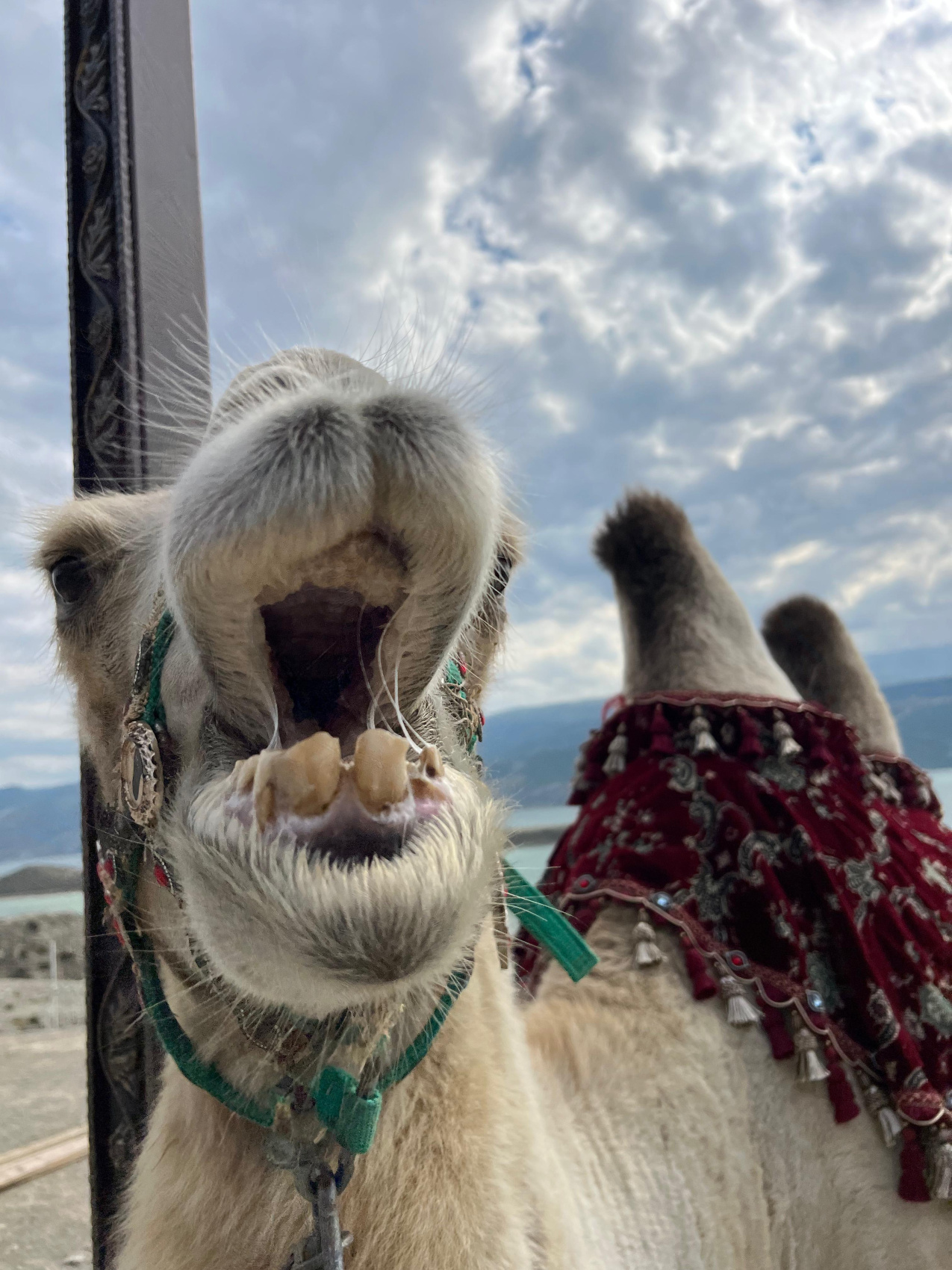 В гостях у дагестанцев- весь Дагестан,все включено за 5 дней (16/34)