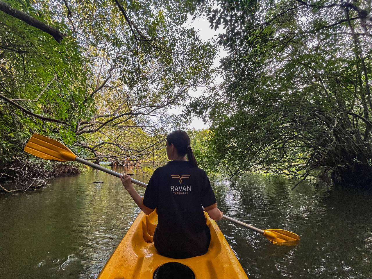Шри-Ланка. Остров мечты (2/37)