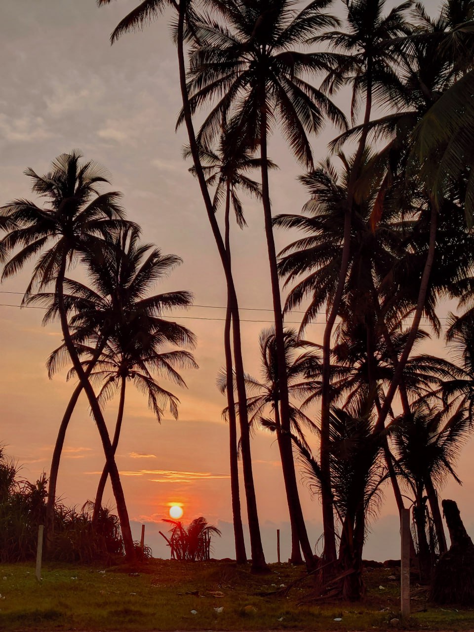 Шри-Ланка. Остров мечты (3/37)