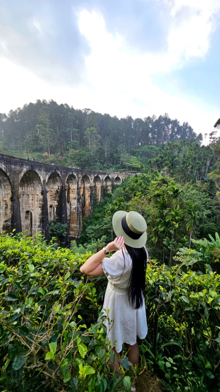 Шри-Ланка. Остров мечты (8/37)