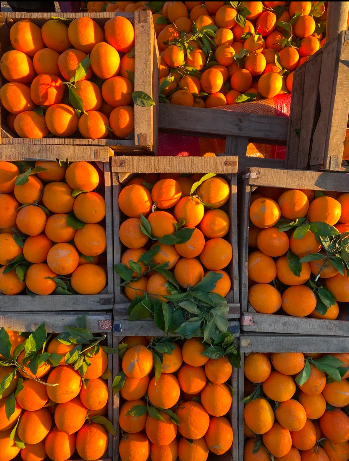 Марроканская Кругосветка (17/68)