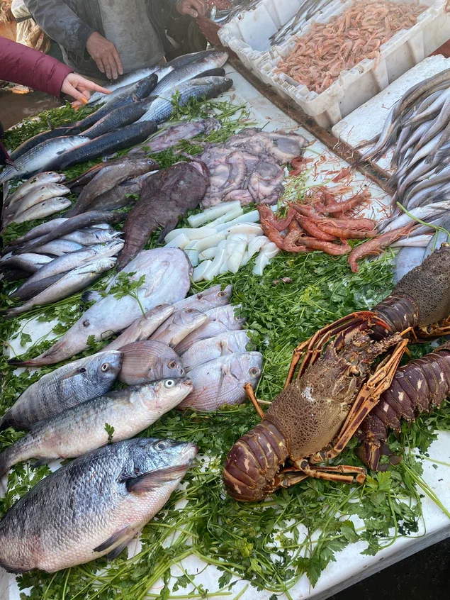 Марроканская Кругосветка (15/68)