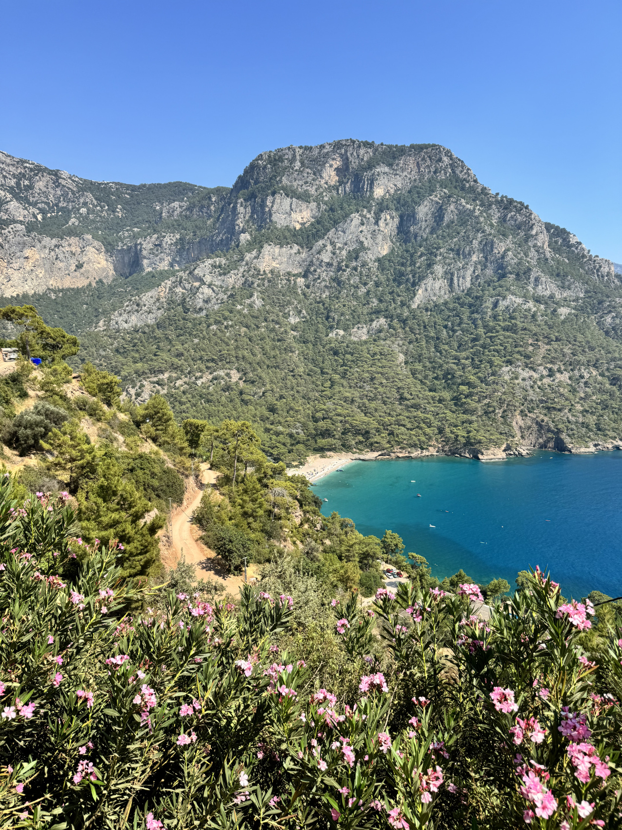 Pinterest путешествие по турецкой Ривьере с фото (сосновная бухта+ликийская тропа) (10/38)