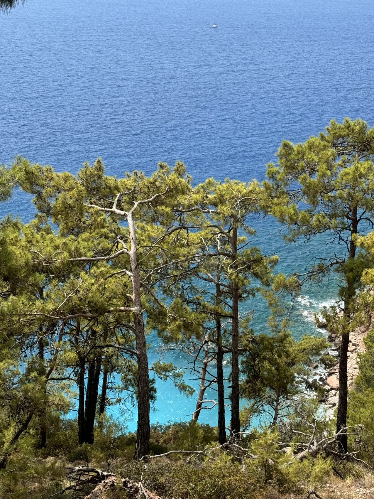 Pinterest путешествие по турецкой Ривьере с фото (сосновная бухта+ликийская тропа) (15/38)