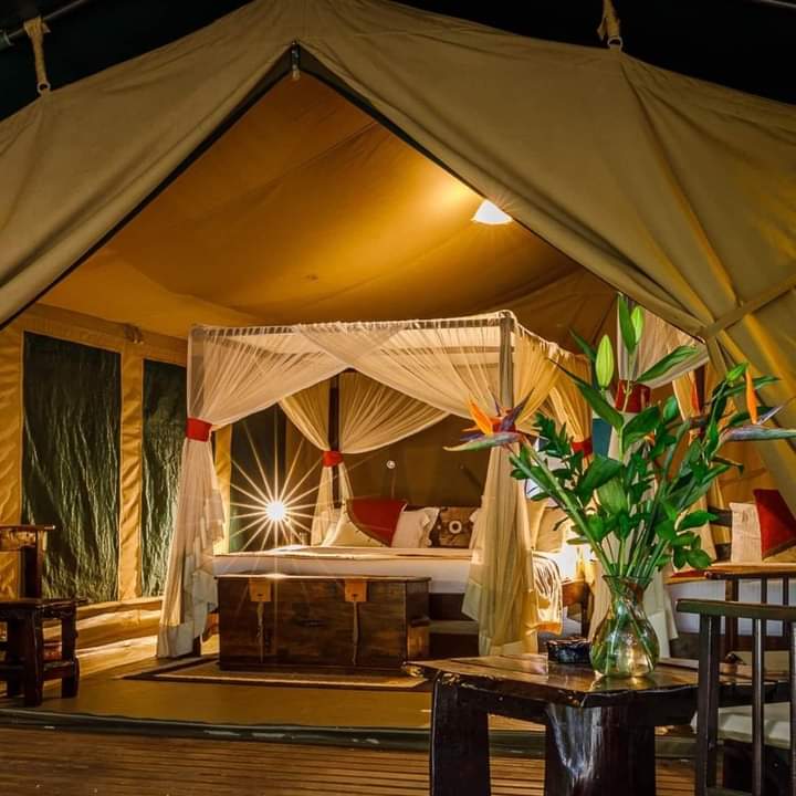 5-дневное сафари по Самбуру Накуру и Масаи Мара. (2/19)