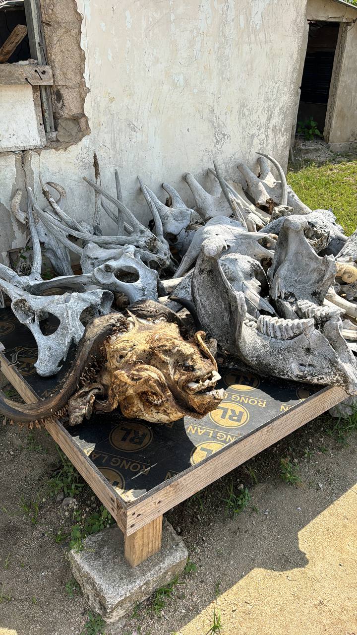 Загадочный чудо-остров. Яхтинг в Занзибаре. 8 дней.  (39/61)