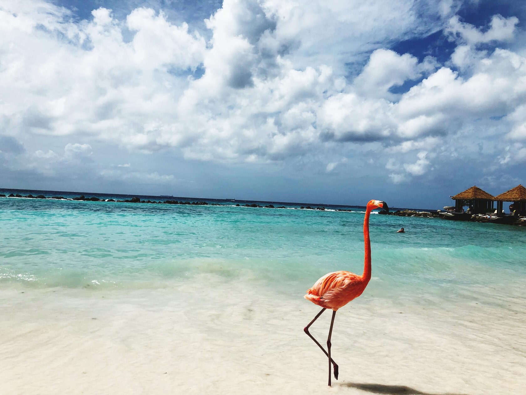 Загадочный чудо-остров. Яхтинг в Занзибаре. 8 дней.  (23/61)