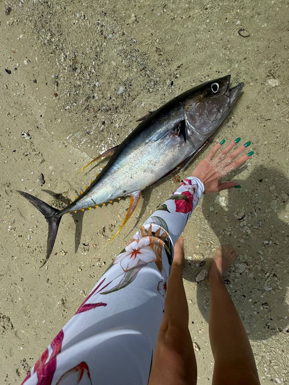 Загадочный чудо-остров. Яхтинг в Занзибаре. 8 дней.  (35/61)