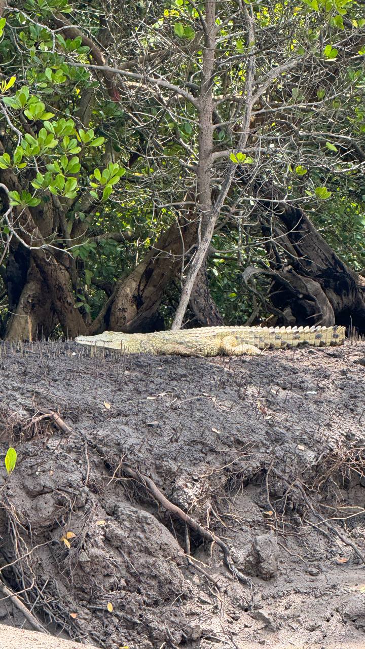 Загадочный чудо-остров. Яхтинг в Занзибаре. 8 дней.  (37/61)