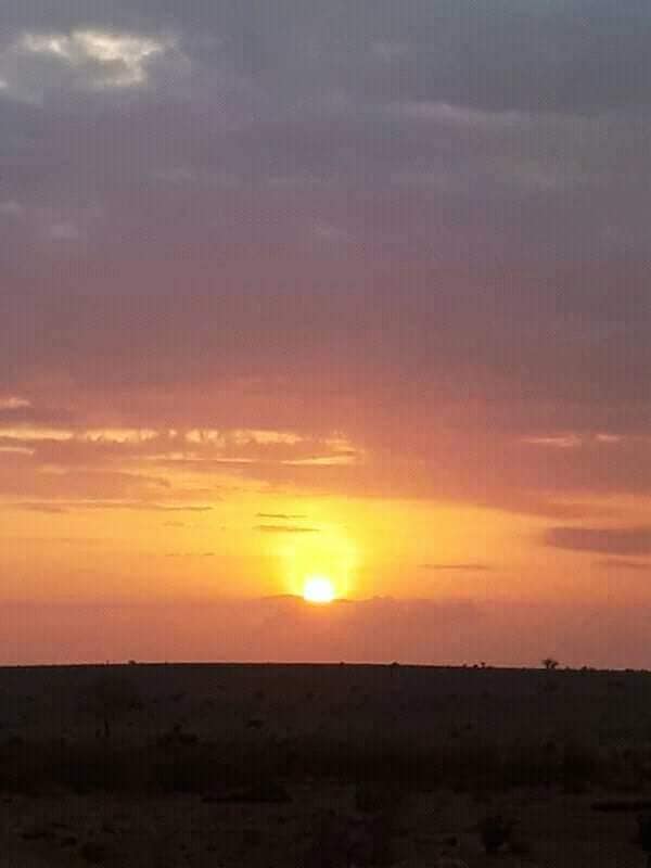  3-дневный тур по Восточному Цаво и Западному Цаво. (3/18)