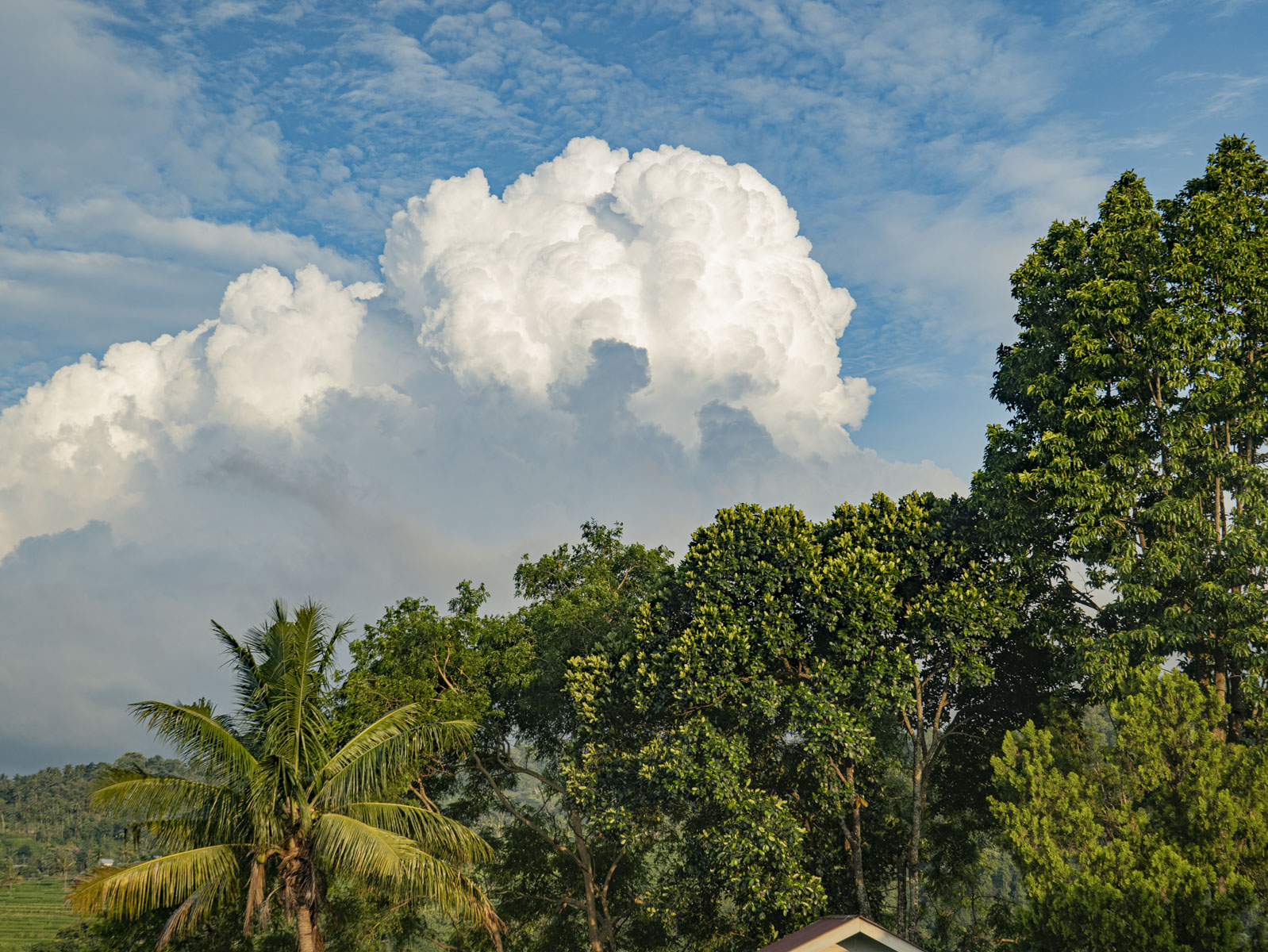 Восхождение на вулкан Риджани: Путешествие к небесам Ломбока (11/55)