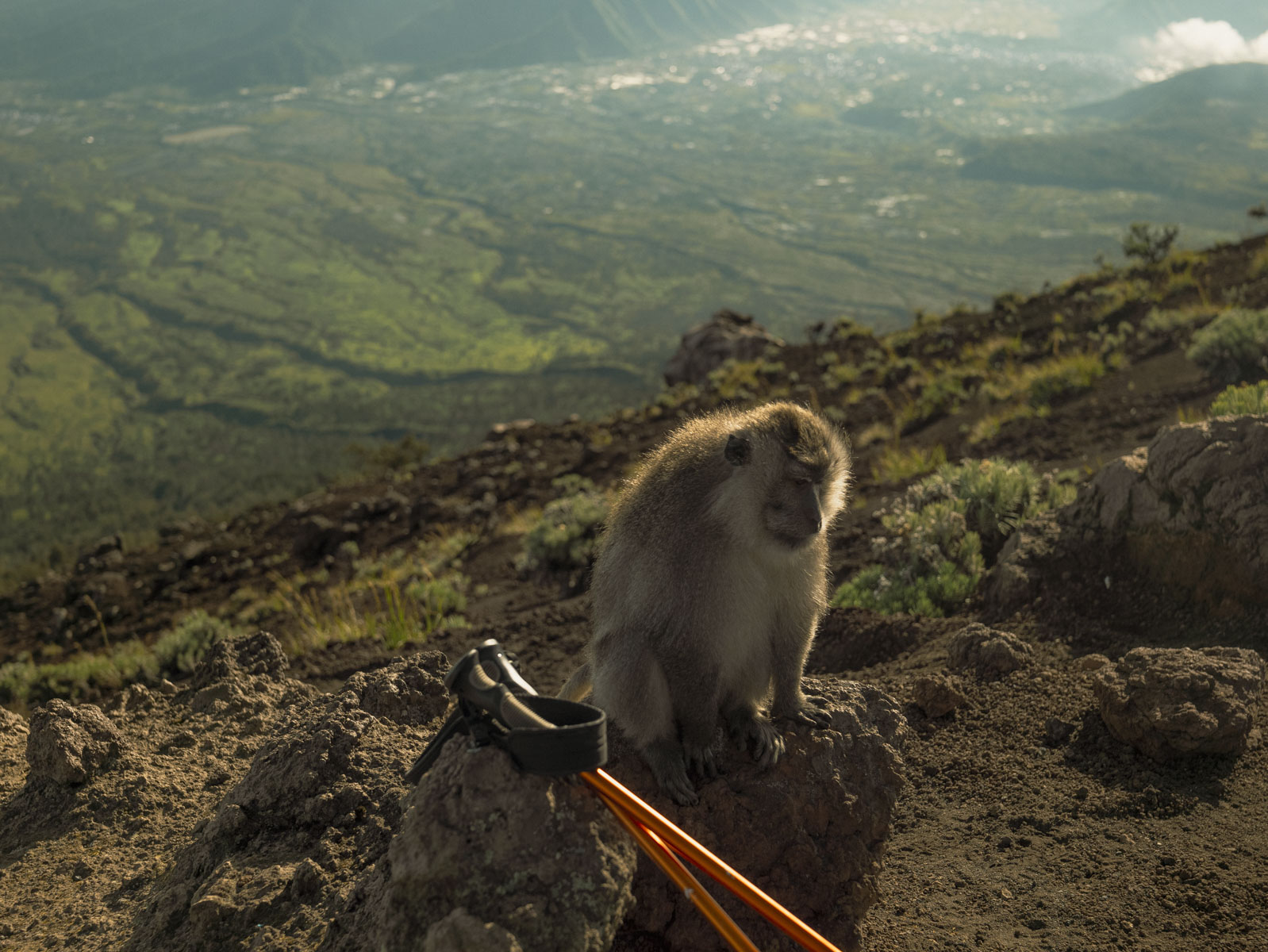 Восхождение на вулкан Риджани: Путешествие к небесам Ломбока (46/55)