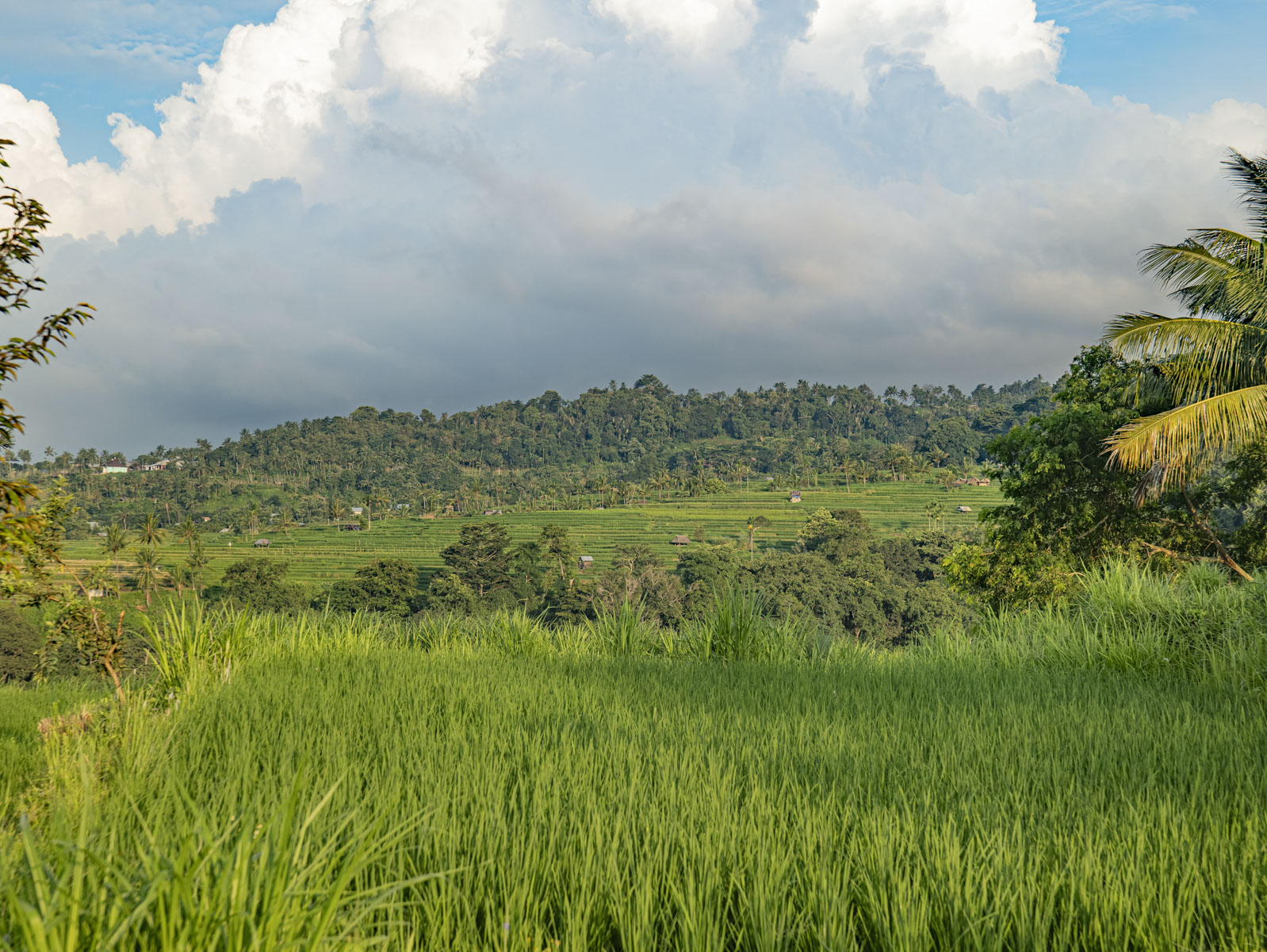 Восхождение на вулкан Риджани: Путешествие к небесам Ломбока (13/55)