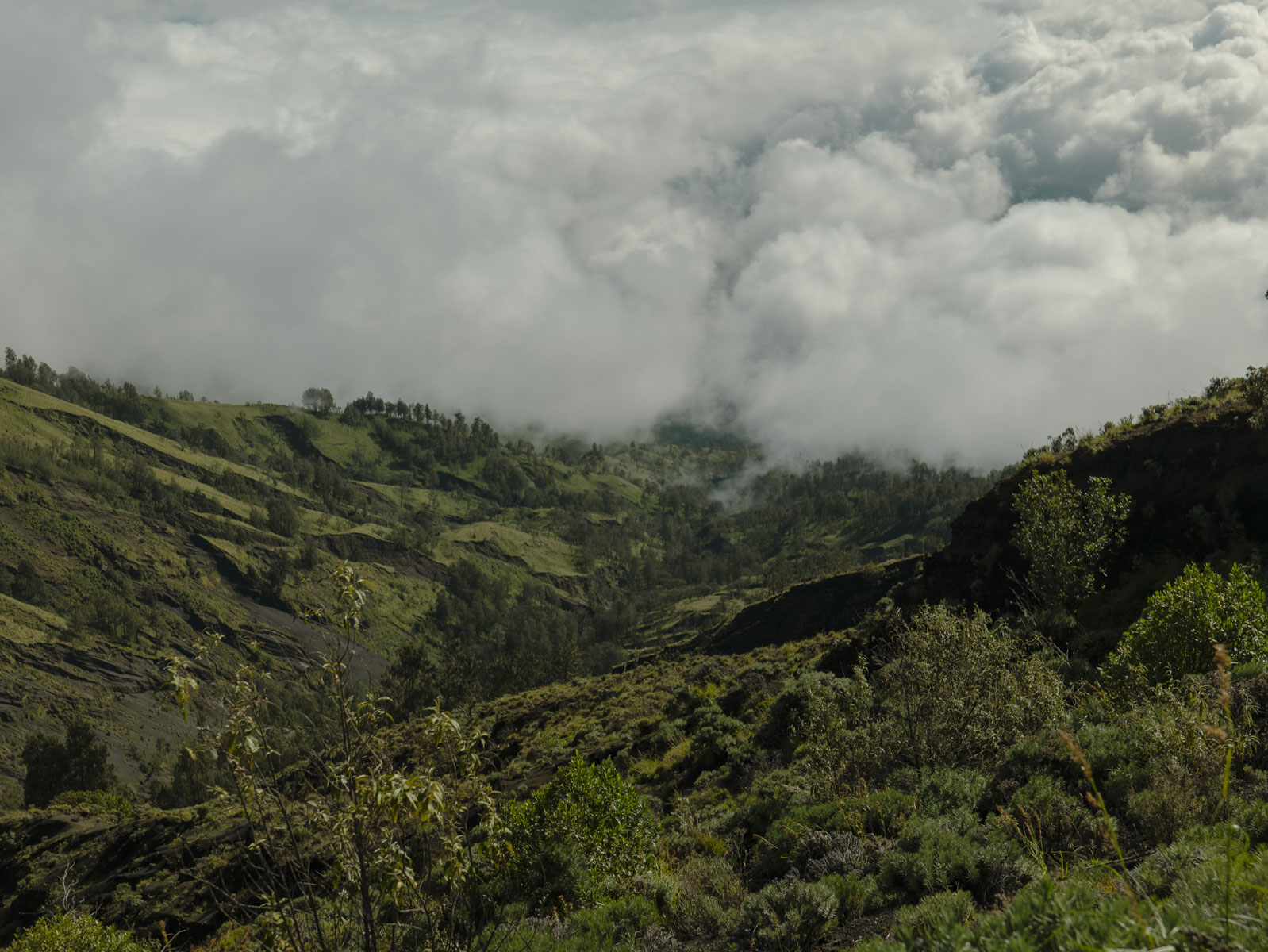 Восхождение на вулкан Риджани: Путешествие к небесам Ломбока (51/55)