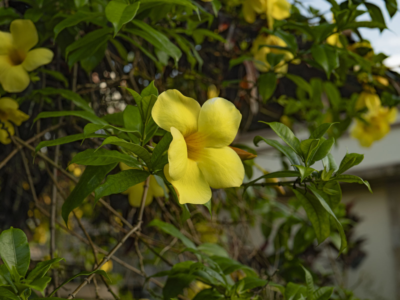 Восхождение на вулкан Риджани: Путешествие к небесам Ломбока (10/55)