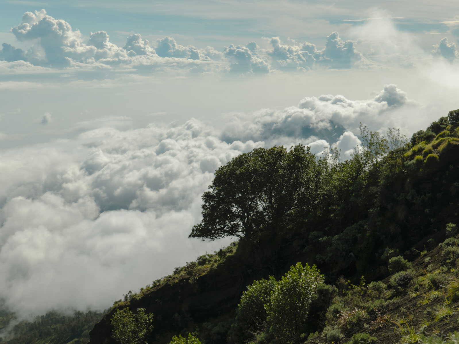 Восхождение на вулкан Риджани: Путешествие к небесам Ломбока (52/55)