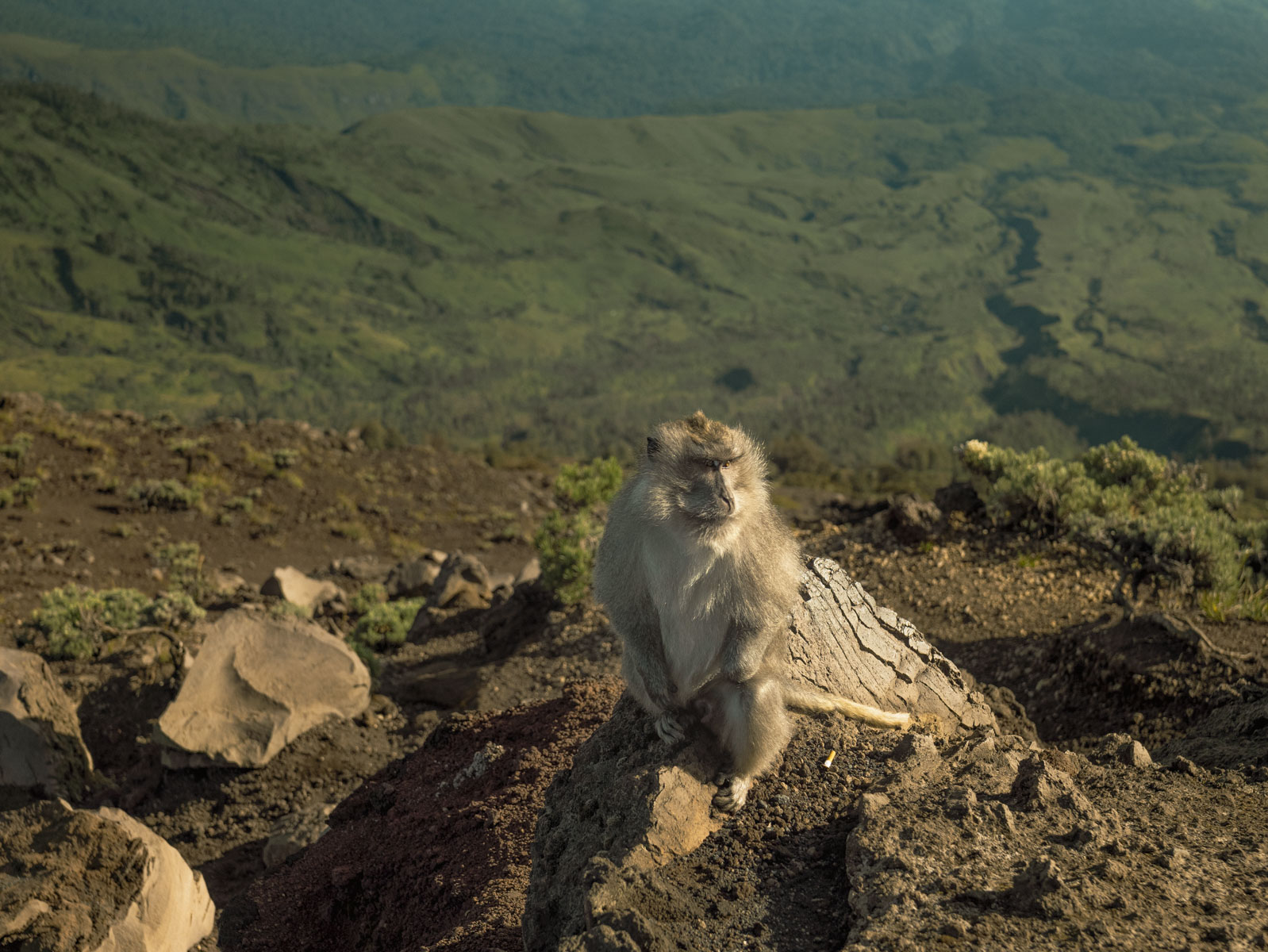 Восхождение на вулкан Риджани: Путешествие к небесам Ломбока (45/55)