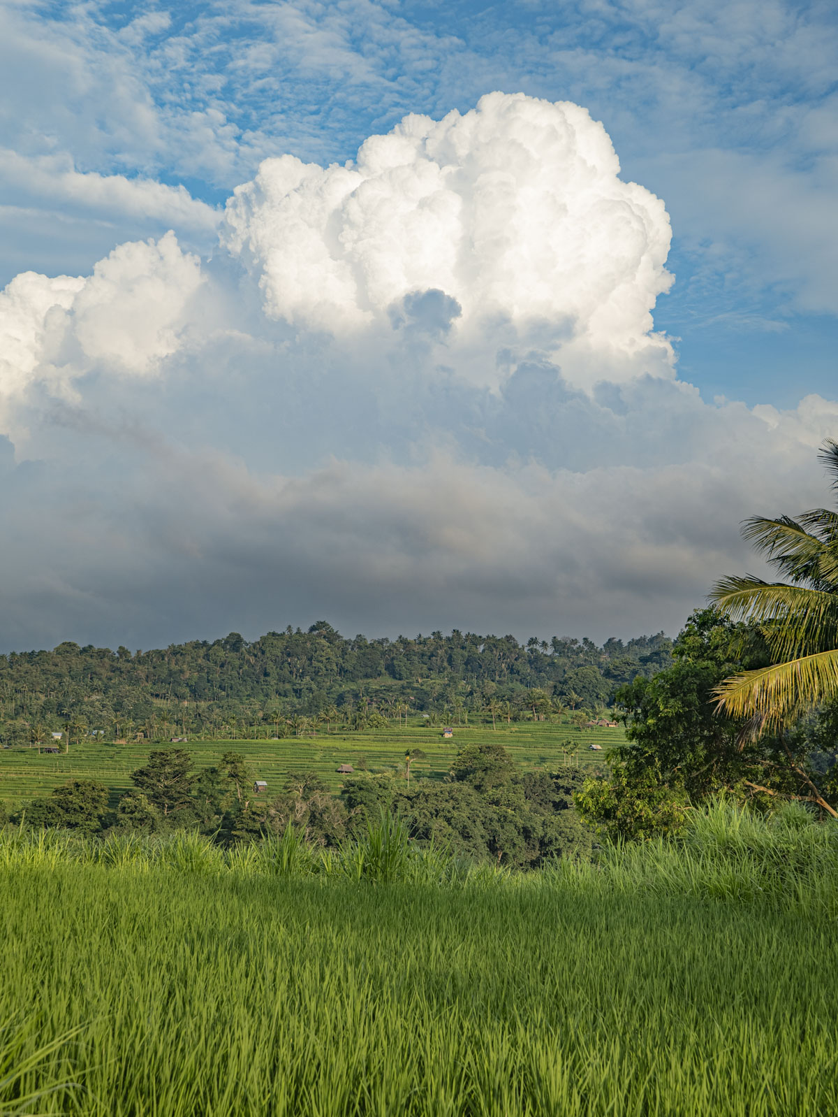 Восхождение на вулкан Риджани: Путешествие к небесам Ломбока (12/55)