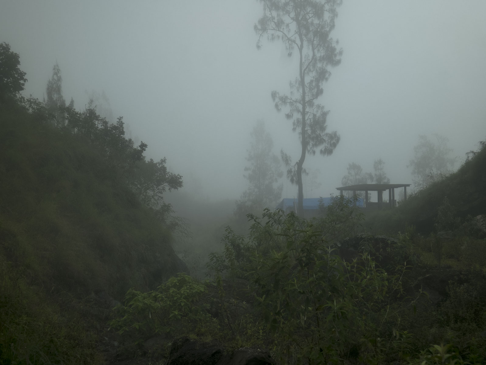 Восхождение на вулкан Риджани: Путешествие к небесам Ломбока (15/55)