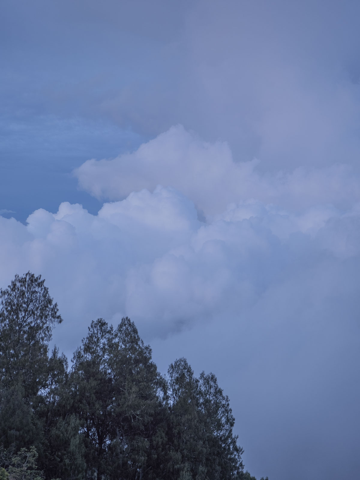 Восхождение на вулкан Риджани: Путешествие к небесам Ломбока (28/55)