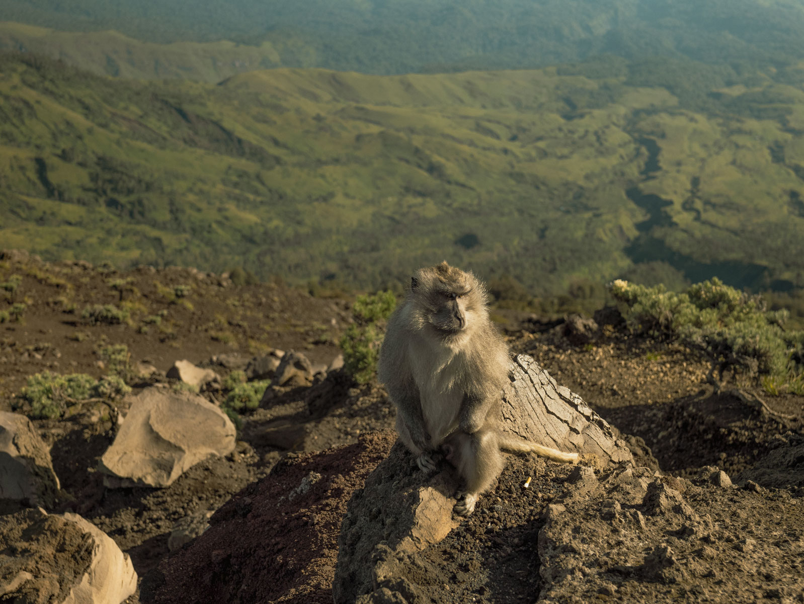 Восхождение на вулкан Риджани: Путешествие к небесам Ломбока (44/55)