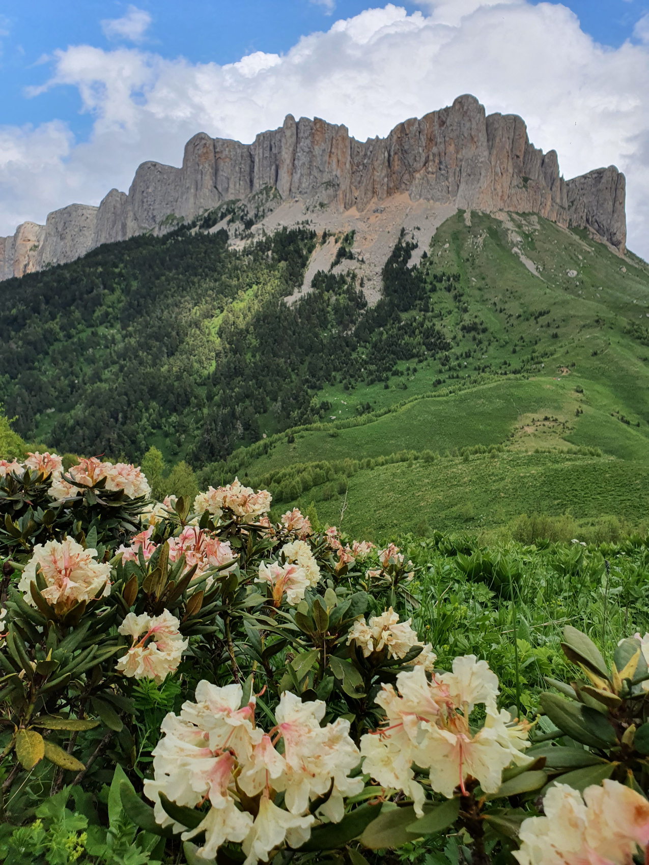 Большой Тхач. Земля Бога  Кавказ  Поход с гидом (4/37)