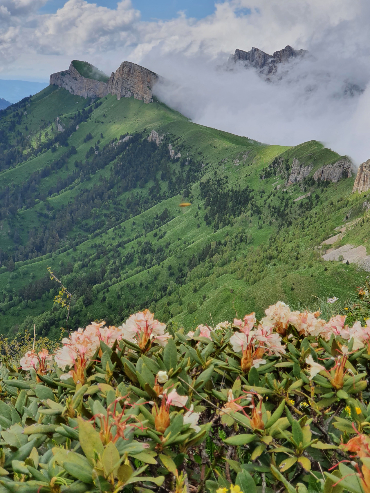 Большой Тхач. Земля Бога  Кавказ  Поход с гидом (7/37)