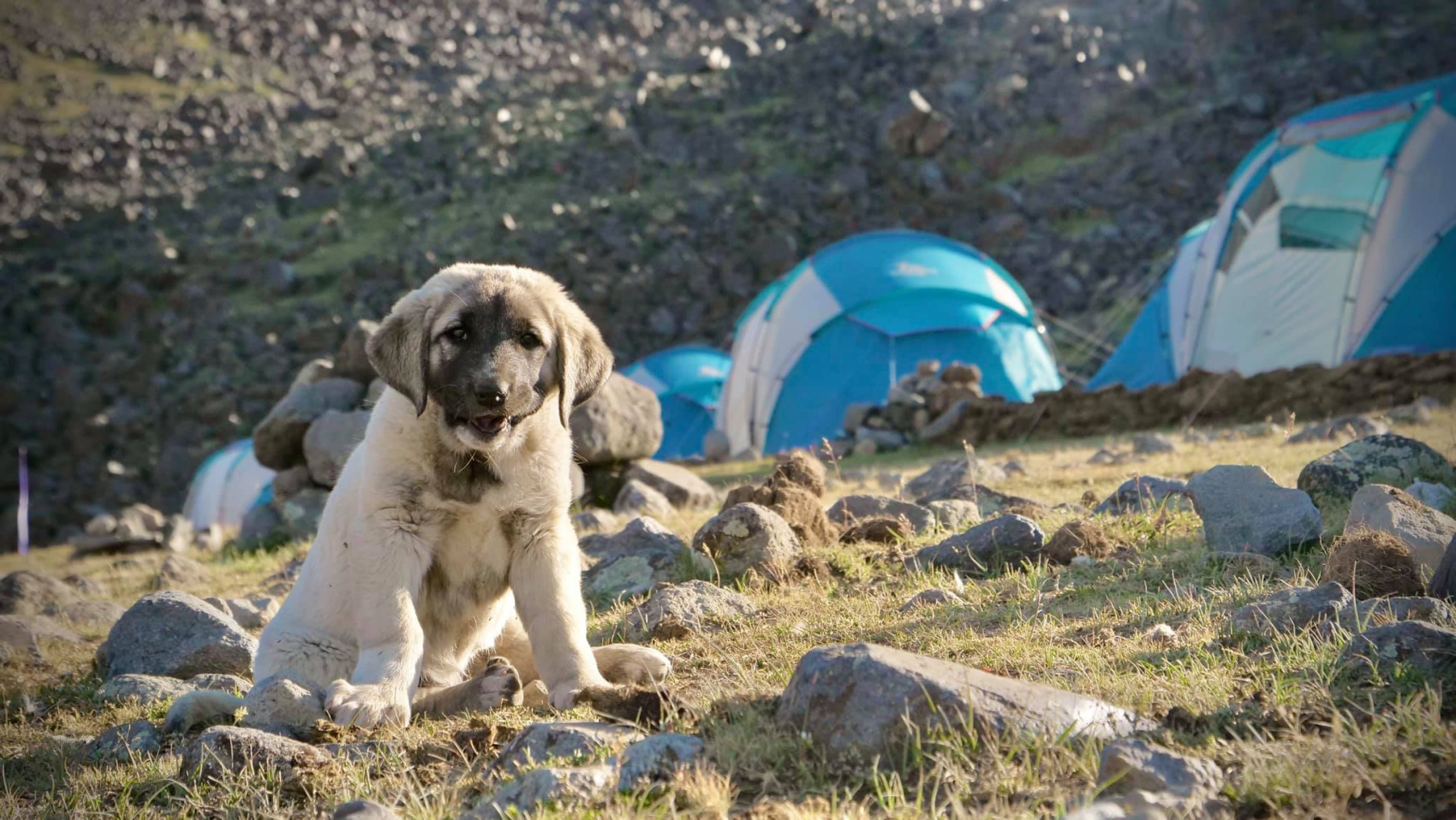 Арарат: Классическое путешествие к вершине - 8 дней (17/31)