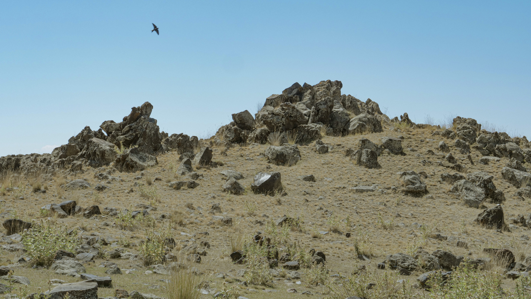 Арарат: Классическое путешествие к вершине - 8 дней (2/31)