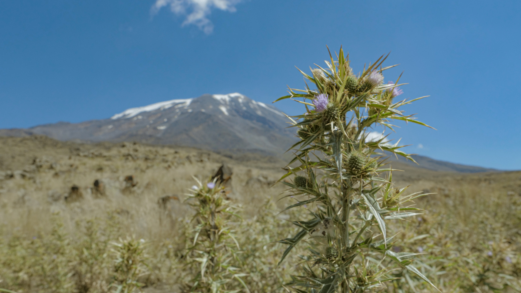 Арарат: Классическое путешествие к вершине - 8 дней (4/31)