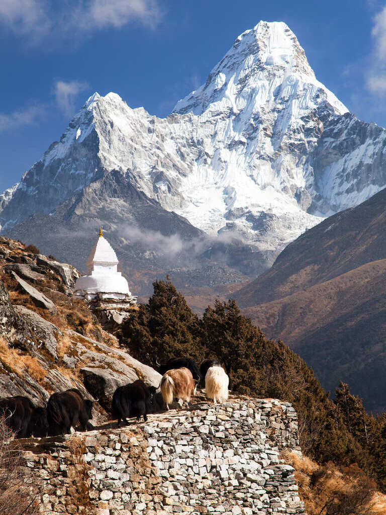 Три перевала | Гималаи | Базовый лагерь Эверест | Кала-Патар +5644  (2/13)