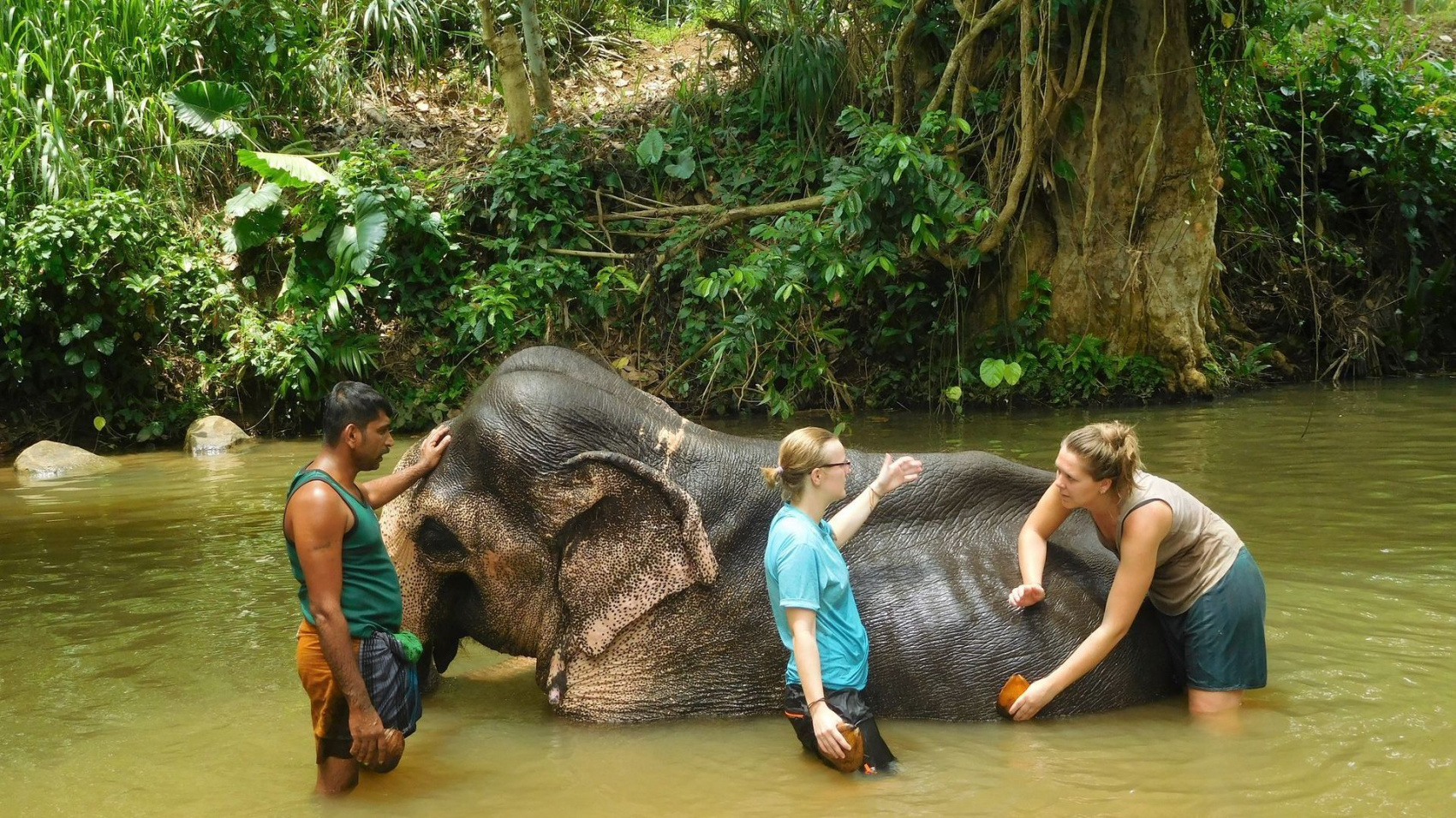 Шри-Ланка за 4 дня: От Коломбо до Сигирии (индивидуально) (4/21)