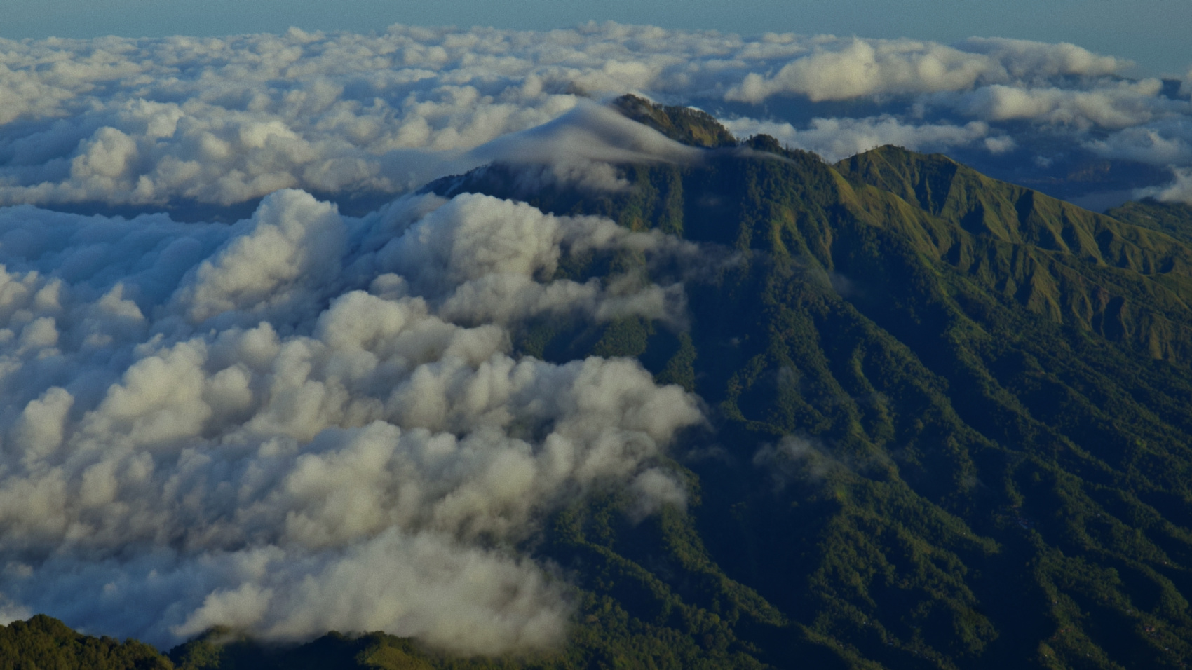 Плавание с китовыми акулами на Сумбаве (3/19)