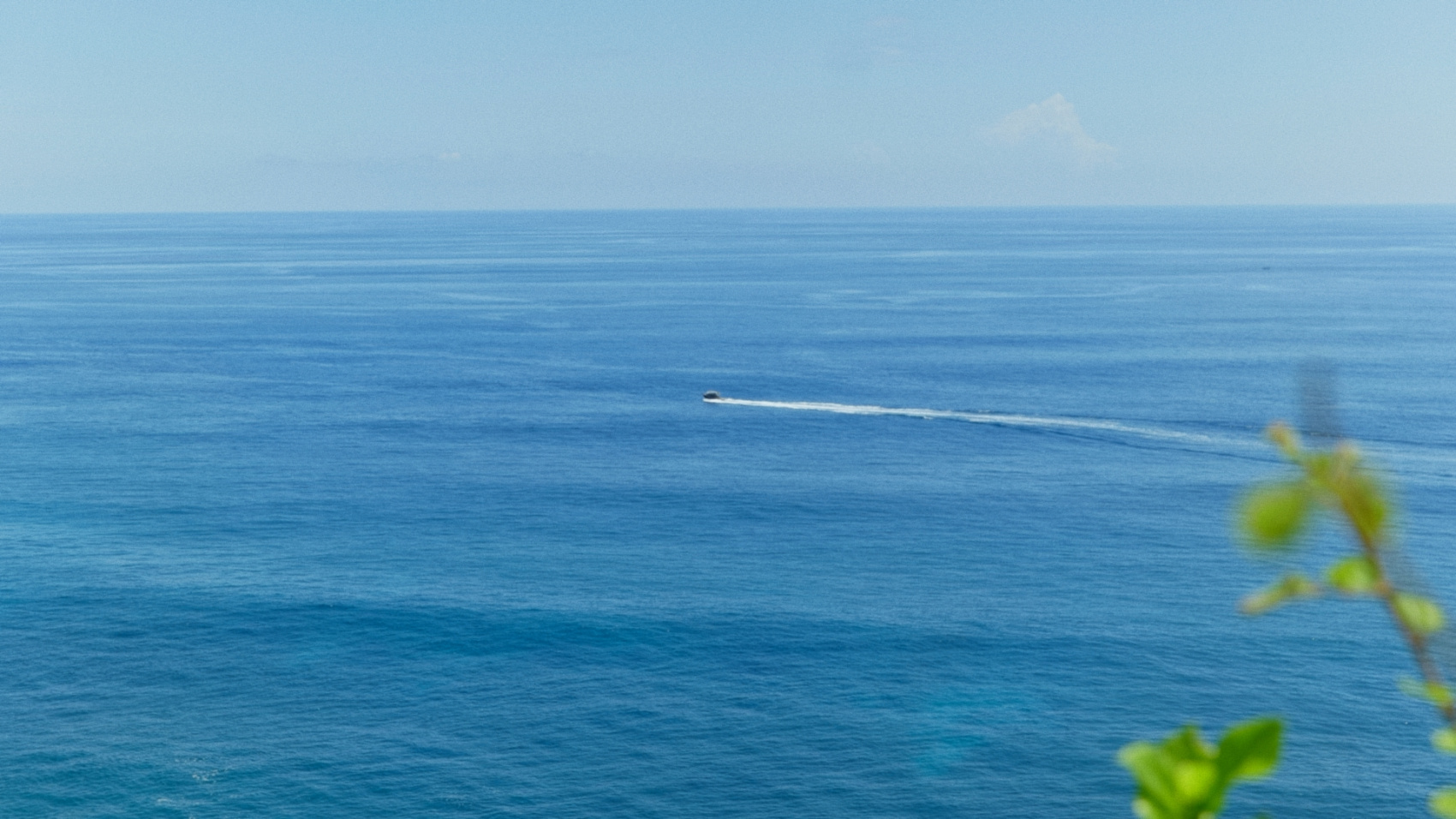 Плавание с китовыми акулами на Сумбаве (4/19)