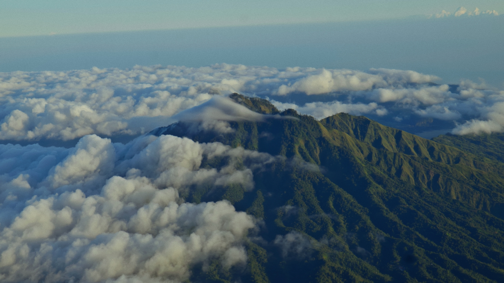 Плавание с китовыми акулами на Сумбаве (2/19)