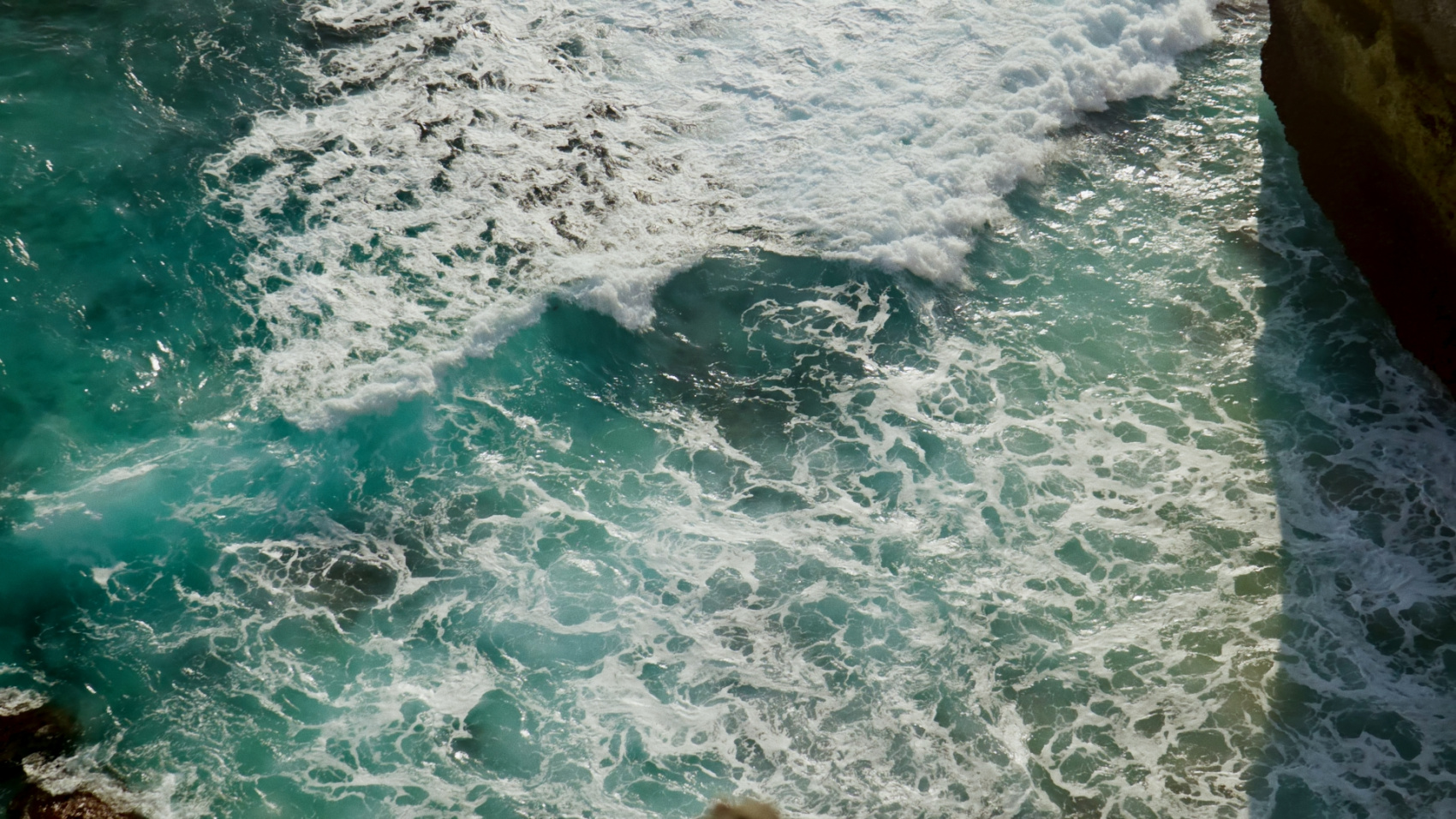 Плавание с китовыми акулами на Сумбаве (13/19)