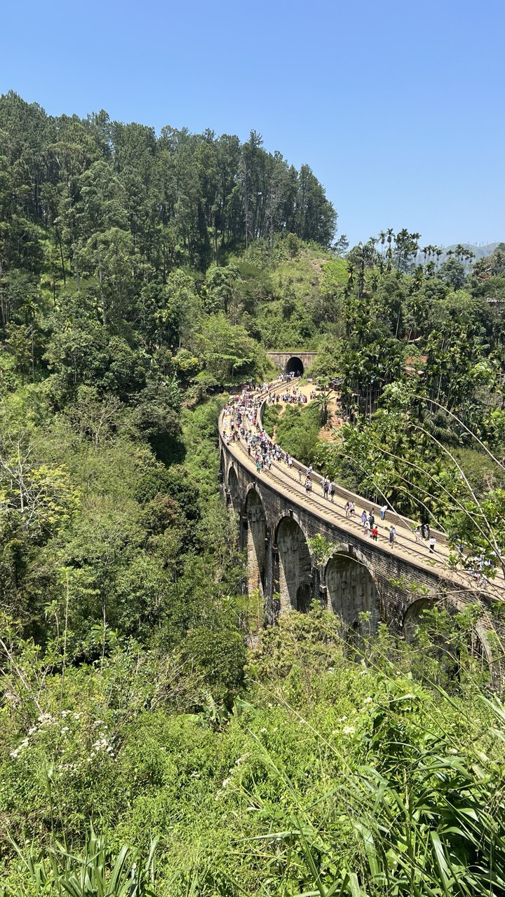 Шри-Ланка - самые топовые локации. Джип-Сафари и отдых на океане (8/19)