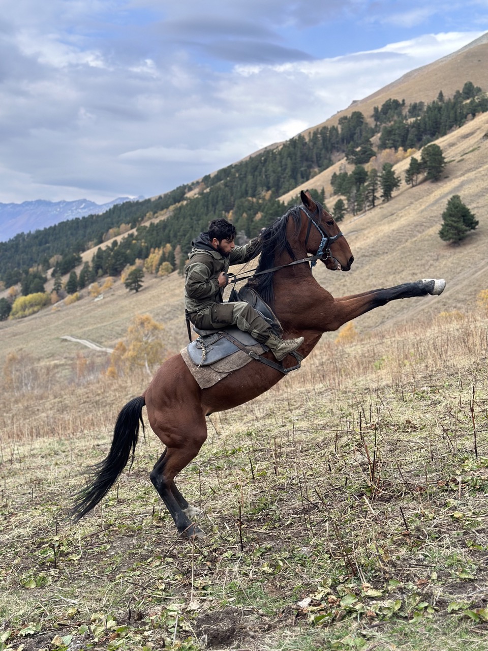 Конный тур Осень в Архызе (16/59)