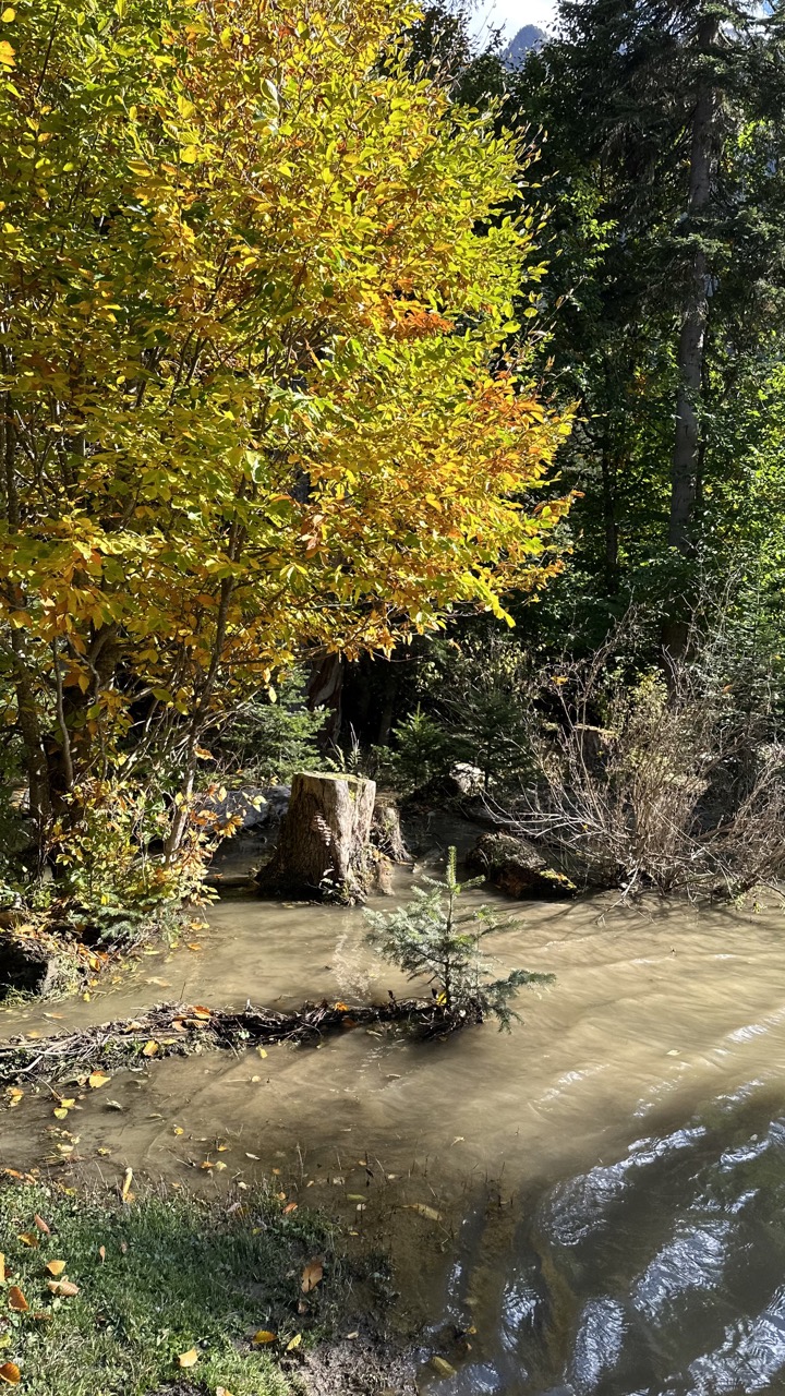 Конный тур Осень в Архызе (12/59)