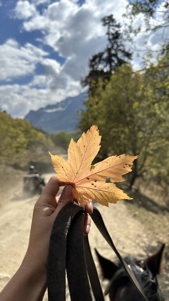 Конный тур Осень в Архызе (5/59)