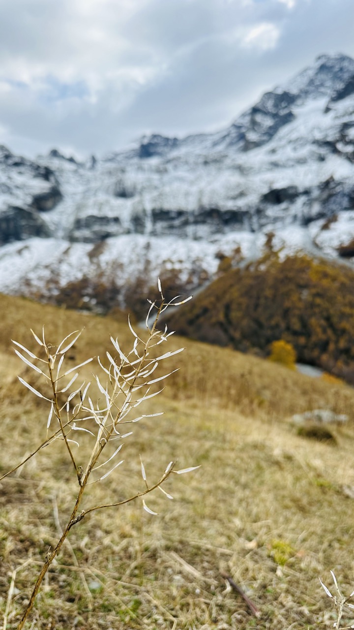 Конный тур Осень в Архызе (14/59)