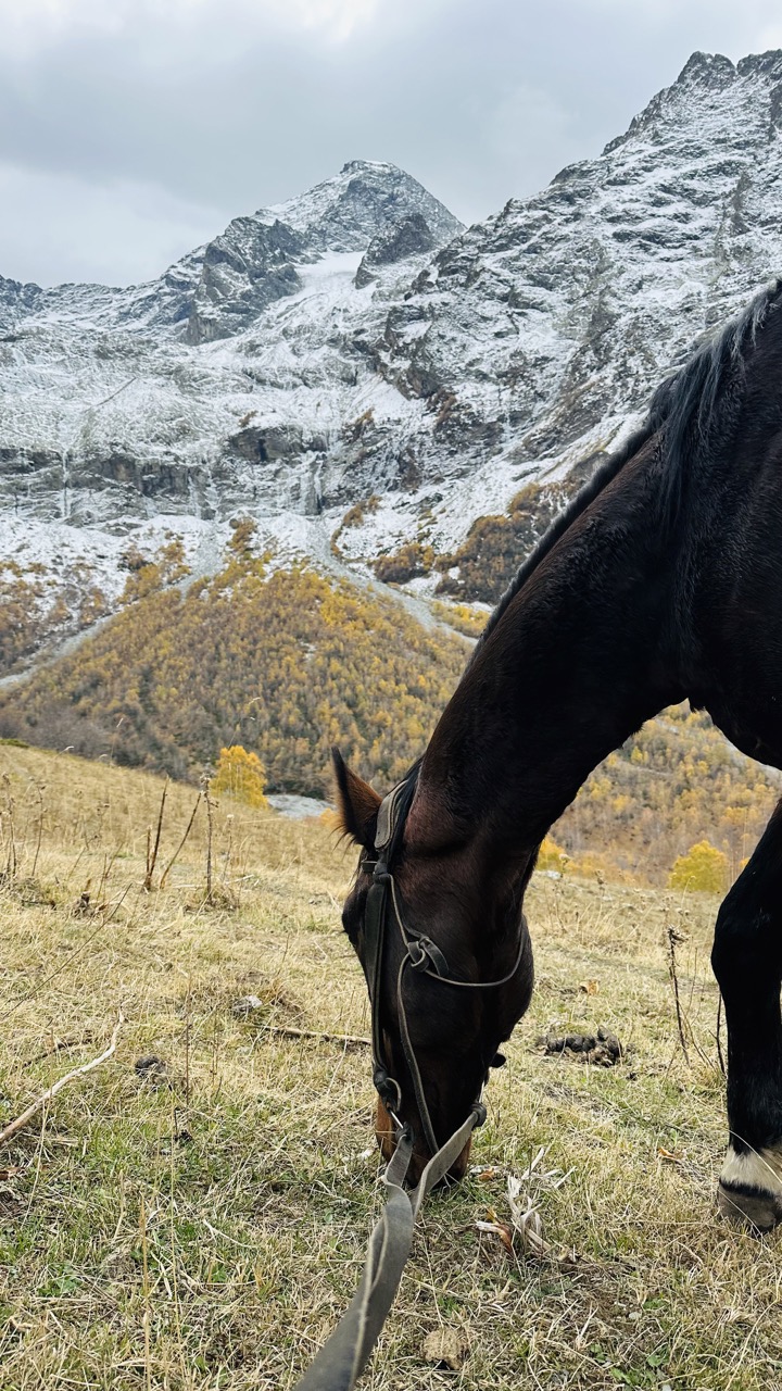 Конный тур Осень в Архызе (13/59)
