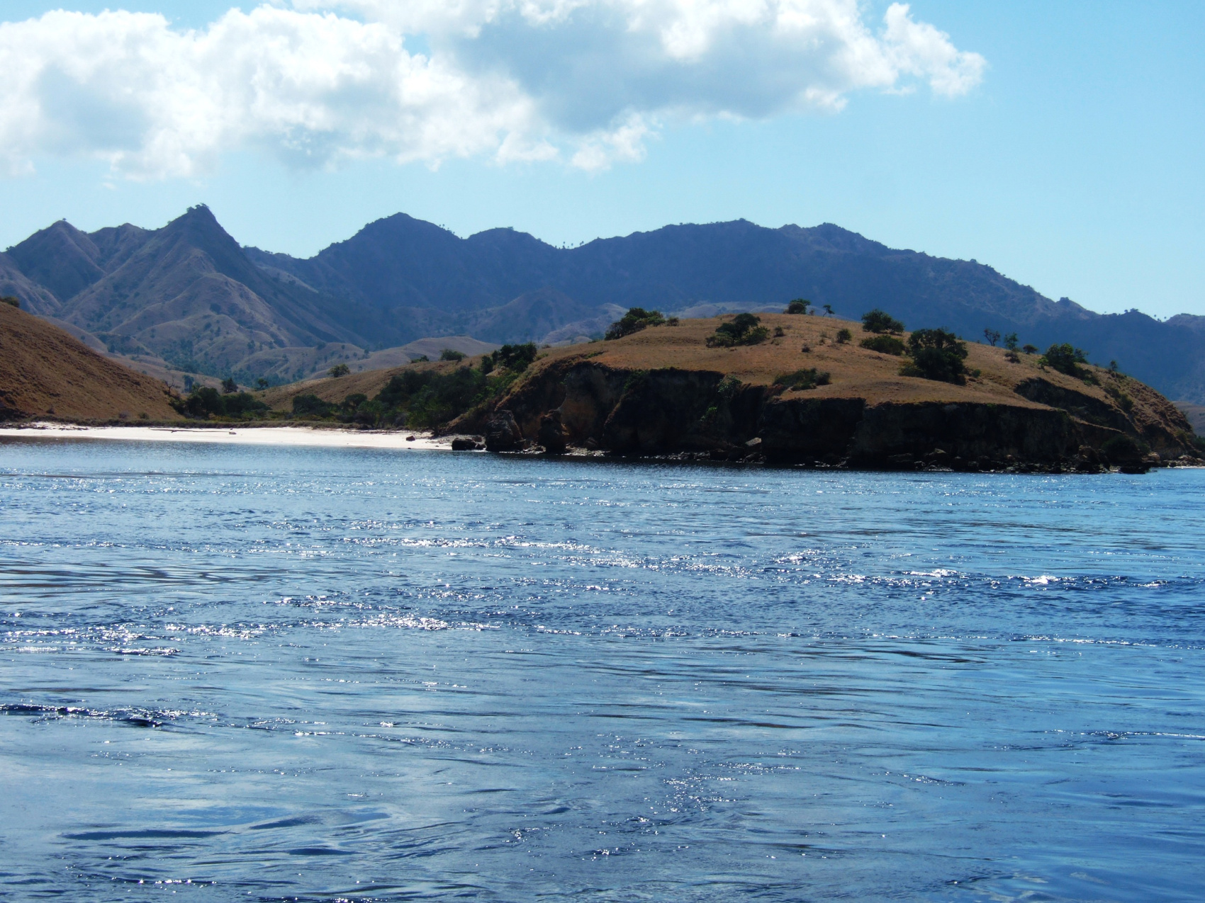 Этнотрип на Флорес и Комодо (35/79)