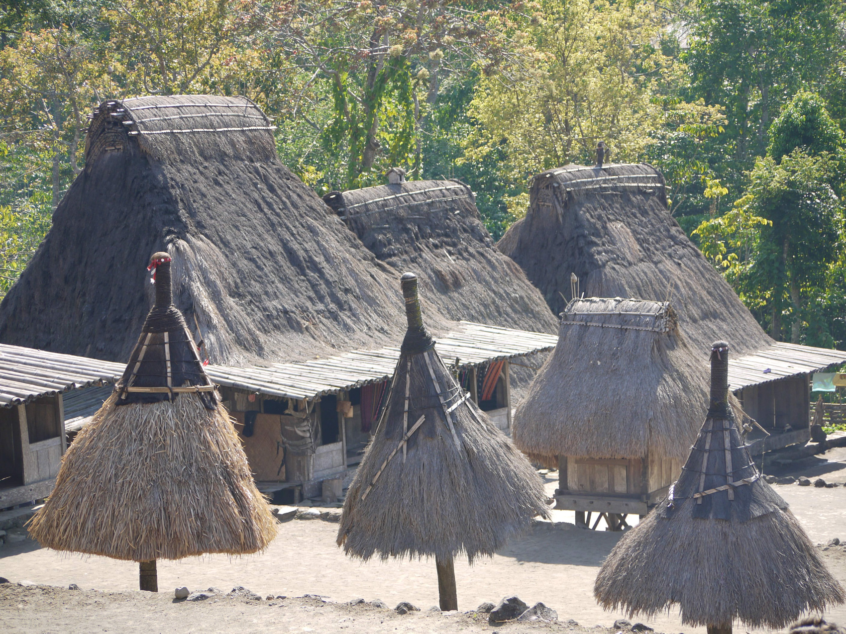 Этнотрип на Флорес и Комодо (45/79)