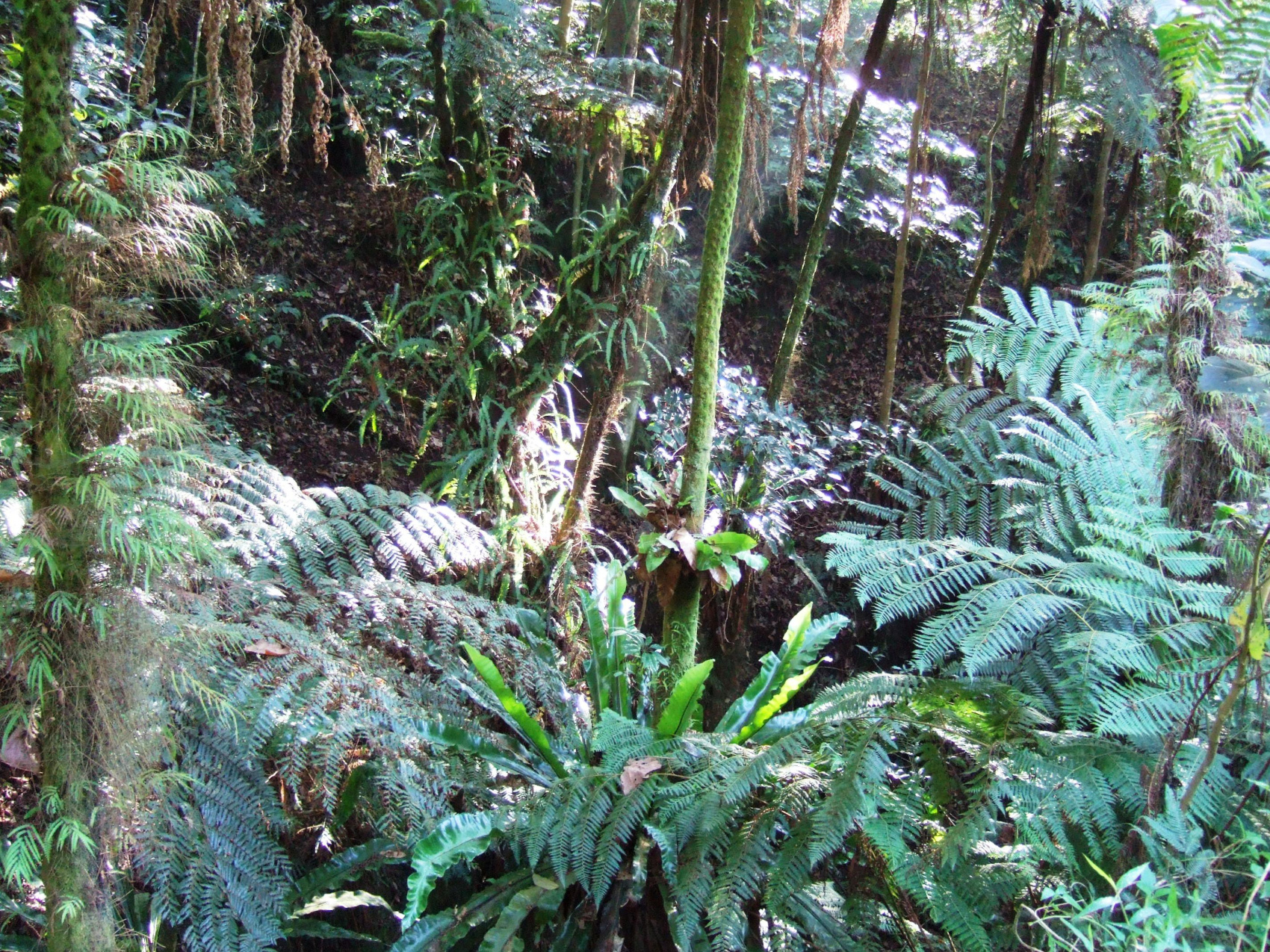 Этнотрип на Флорес и Комодо (29/79)