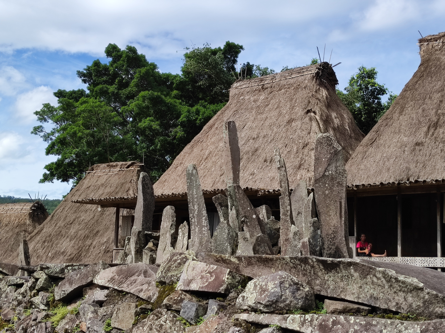 Этнотрип на Флорес и Комодо (16/79)