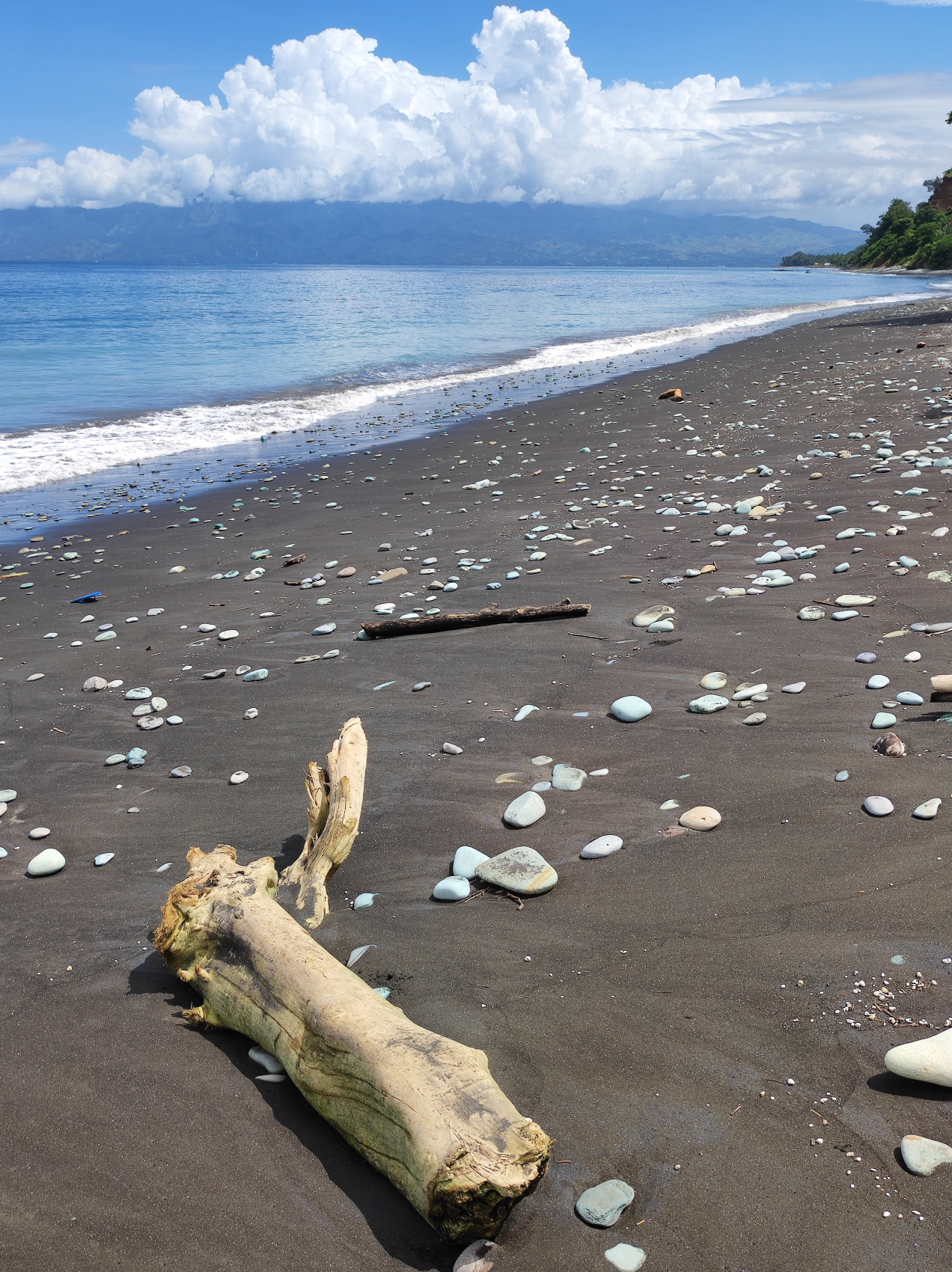 Этнотрип на Флорес и Комодо (19/79)